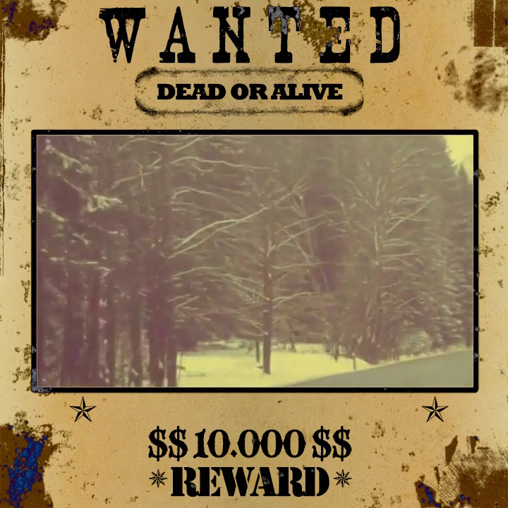 Sepia Wild West Theme Wanted Poster Pack Look Sepia Wild West Theme Wanted Poster Pack Look Sample
