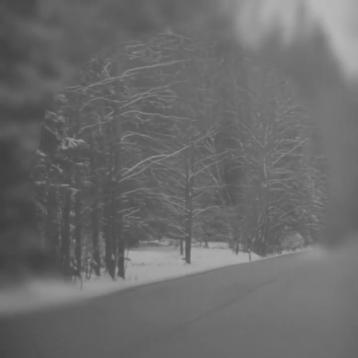 Black and White Film Pack Look Black and White Film Pack Look Sample