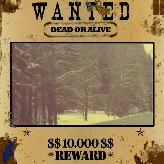 Sepia Wild West Theme Wanted Poster Pack Look Sample