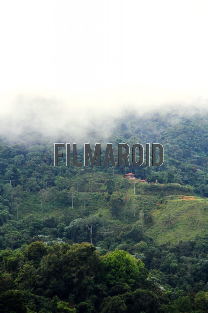 A mountain slowly being covered by dense fog
