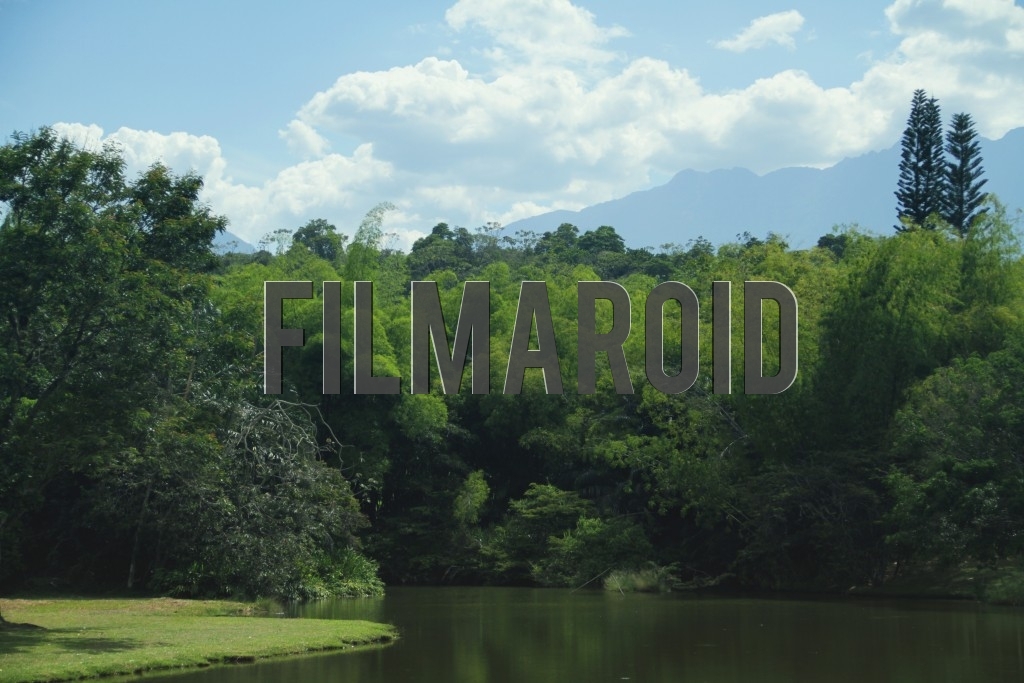 A lake view framed by varied vegetation and trees and with Andean mountains as background