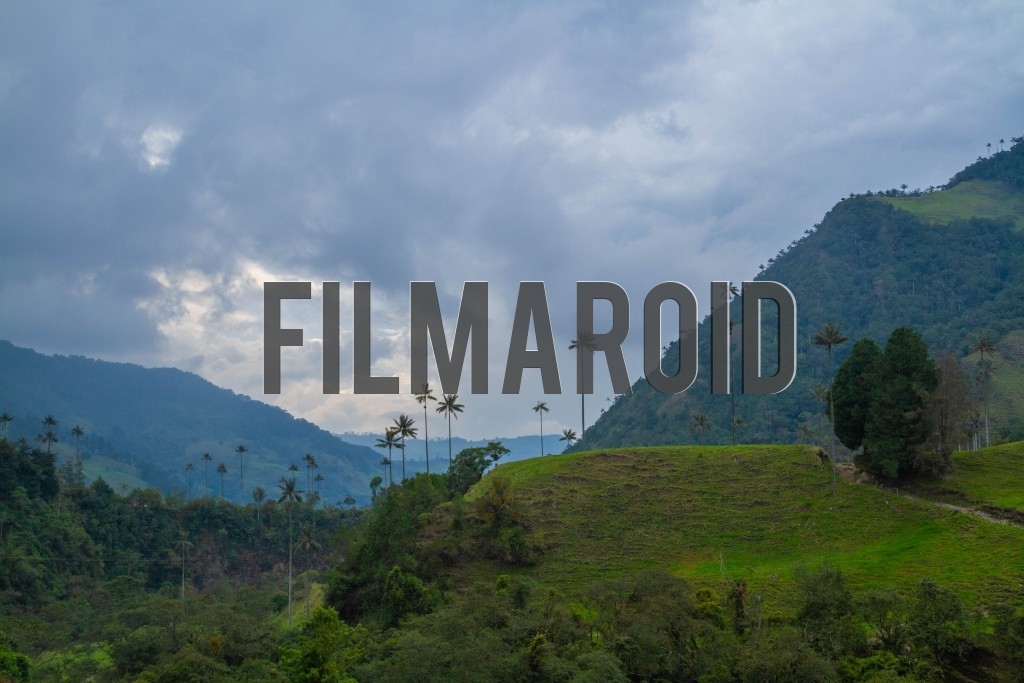 Beautiful exotic South American landscape with mountains and wax palm trees against dramatic afternoon sky