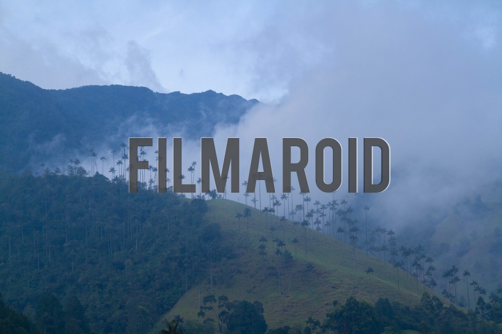 Beautiful exotic South American landscape with exotic vegetation, palm trees and foggy atmosphere