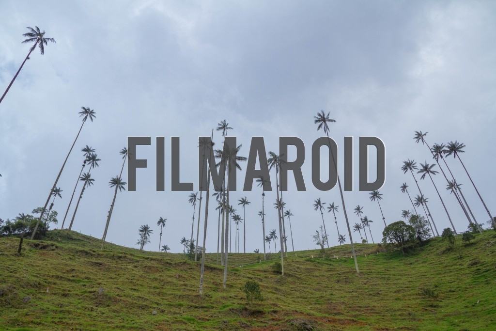 Beautiful exotic South American landscape with tall wax palm trees across green mountain pastures