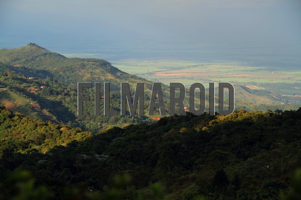 The sunny valley of Valle del Cauca Region in Colombia