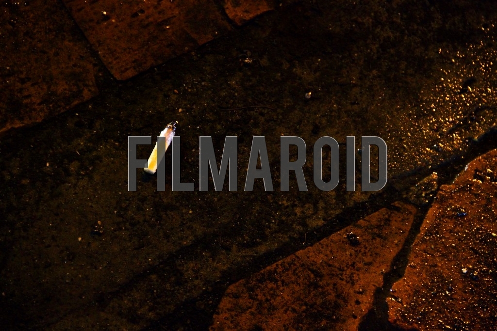 A cigarette tail found on sidewalk and floating in a muddy puddle after rainy night
