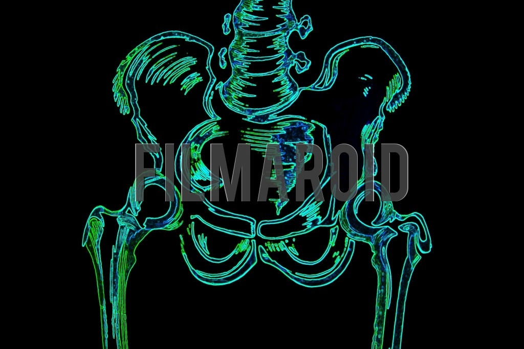Closeup of the human pelvis anatomy with detailed pelvic bone structure and a colorful neon effect against a pitch black background