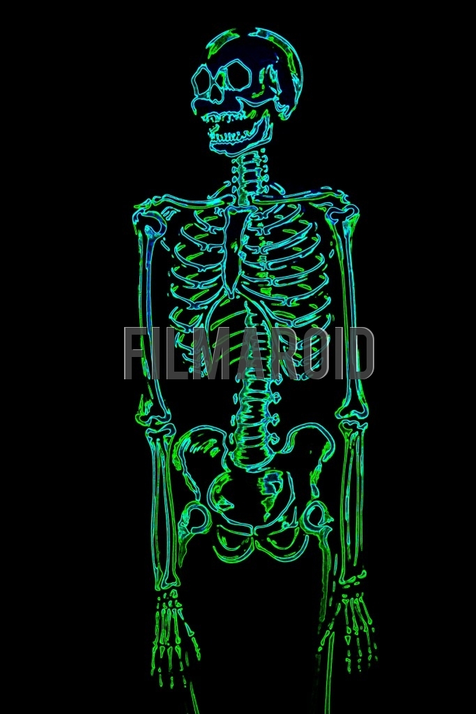 Top body view or american shot of a human skeleton with arms resting and a colorful neon effect against a pitch black background