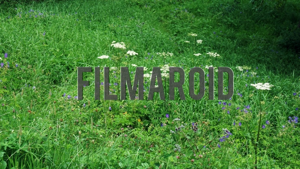 Long grass and wild flowers adding rich texture to meadows