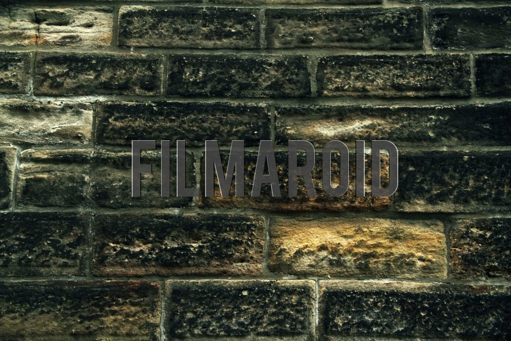 Old brick wall with stains Old brick wall with stains - Detail view of an old brick wall with lots of dark stains and traces for a grunge look and texture