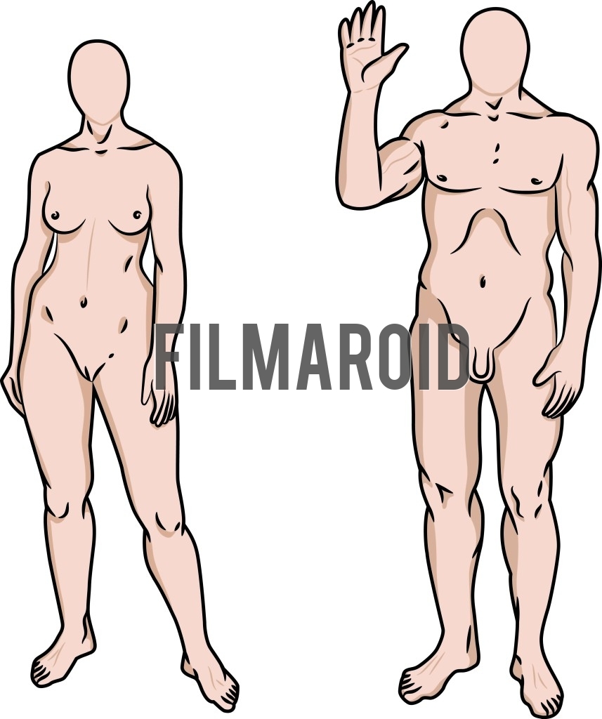 Beautiful colorful vector illustration of nude heroic faceless male and female body types ready for print
