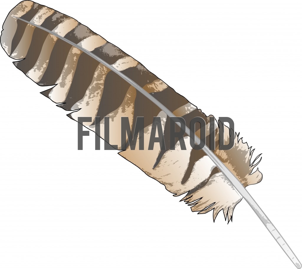Beautiful brown striped hawk or eagle feather vector illustration with grunge or pop up style texture and details