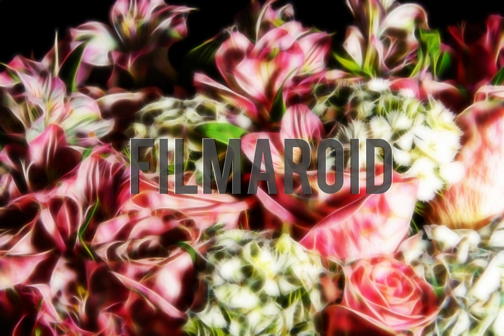 Beautiful exotic flowers with dreamy look Beautiful exotic flowers with dreamy look - A group of fresh beautiful and exotic flowers carefully arranged with a dreamy look against a black background