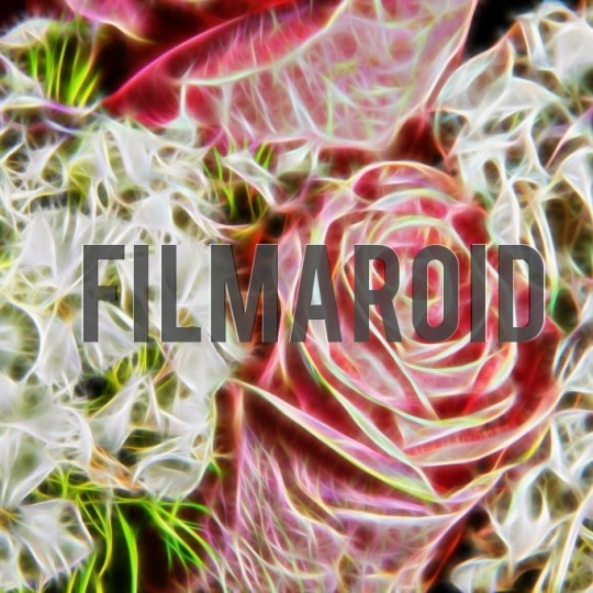 Backgrounds - Neon rose and flowers background Neon rose and flowers background - A collection of stock photos with diverse backgrounds