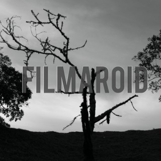 Black white silhouette trees - A collection of stock photos about Landscapes