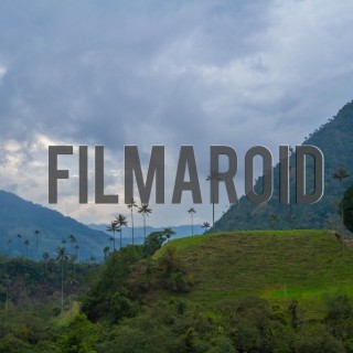 South american landscape of multiple mountains with wax palm trees and dramatic afternoon sky - A collection of stock photos about Landscapes