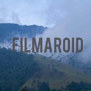 South american landscape with exotic vegetation and fog - A collection of stock photos about Landscapes