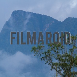 South american mountain peak with vegetation and rocky surface - A collection of stock photos about Landscapes