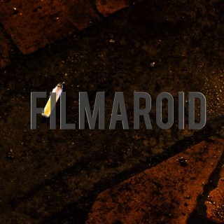 Cigarette tail floating in puddle - A collection of stock photos about the Odd and Bizarre