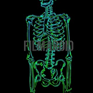 Human skeleton resting arms neon effect black background - A collection of stock photos about the Odd and Bizarre