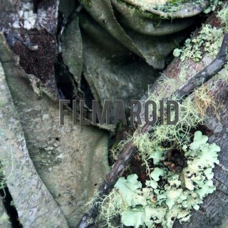 Old decaying cloth around tree trunk - A collection of stock photos about the Odd and Bizarre