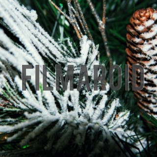 Christmas season pine cone ornament - A collection of stock photos covering different Holidays