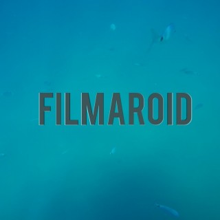 Small fish seen underwater - A collection of stock photos about Travel