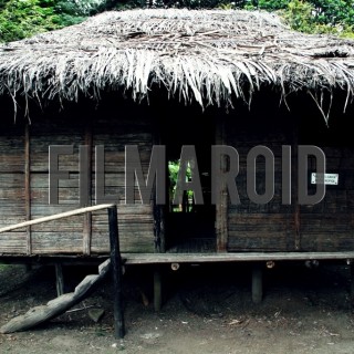 Typical home from the colombian pacific coast - A collection of stock photos about Travel