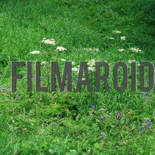 Green grass and flower texture - A collection of stock photos about different Textures