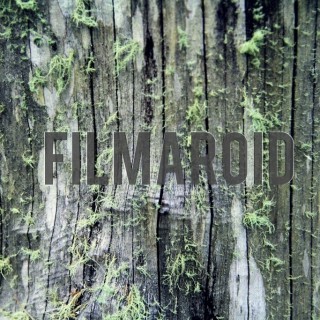 Moss growing on tree trunk texture - A collection of stock photos about different Textures