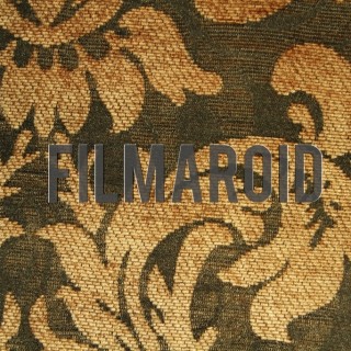 Old victorian fabric with golden flower pattern texture - A collection of stock photos about different Textures