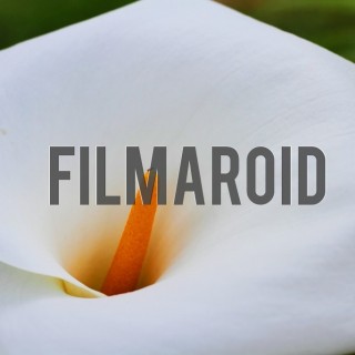 Calla lily colombia - A collection of stock photos about beautiful and exotic Flowers