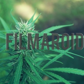 Marijuana bud - A collection of stock photos about beautiful and exotic Flowers