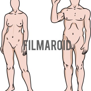 Male and female human bodies color vector illustration - A collection of stock vector illustrations