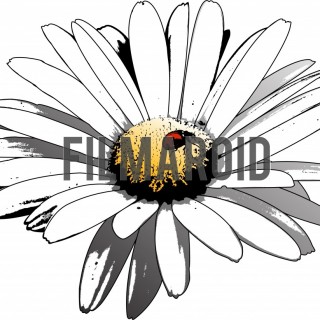 White daisy flower with ladybug vector illustration - A collection of stock vector illustrations