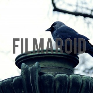 Black bird standing on park lamp - A collection of stock photos about Animals