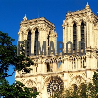 Notre dame de paris trees - A collection of stock photos from the City of Light and Love - Paris