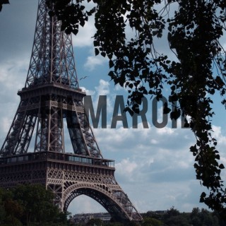 Paris eiffel tower leaves - A collection of stock photos from the City of Light and Love - Paris