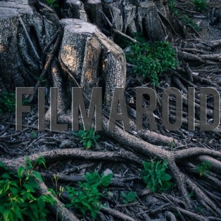 Dead tree roots - A collection of stock photos with diverse backgrounds