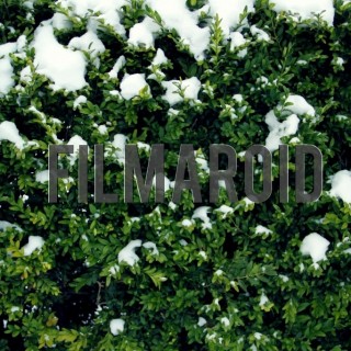 Plants covered partially by fresh snow - A collection of stock photos with diverse backgrounds