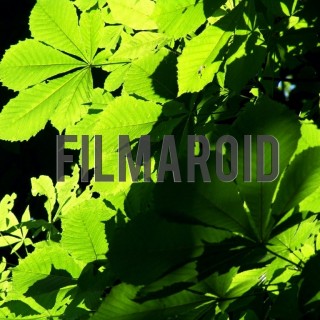 Sunlight through green leaves - A collection of stock photos with diverse backgrounds