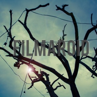 Tree branches background - A collection of stock photos with diverse backgrounds