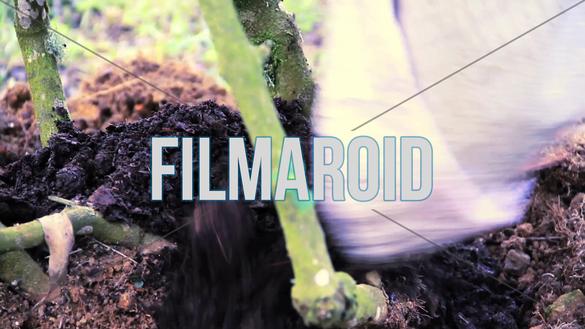 Garden Soil for Planting - A man adding good soil for plant in the garden