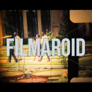 8mm footage of a 60s family walking through beautiful gardens with ponds and water lilies - A collection of stock footage about People