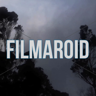 Eucalyptus trees moving with wind and fog - A collection of stock footage about Nature