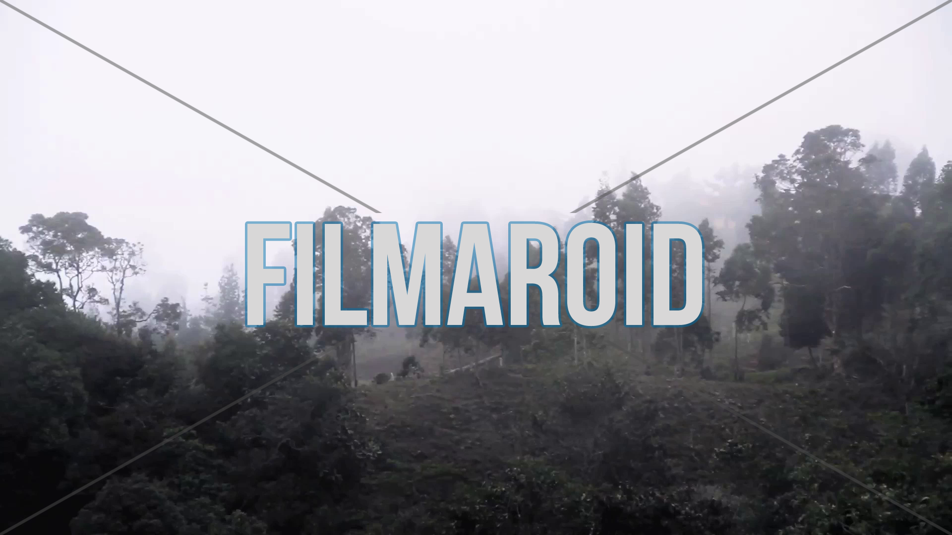A rainforest immersed in dense fog during a windy and cloudy day