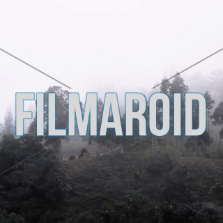 Foggy forest at windy mountain scene - A collection of stock footage about Nature