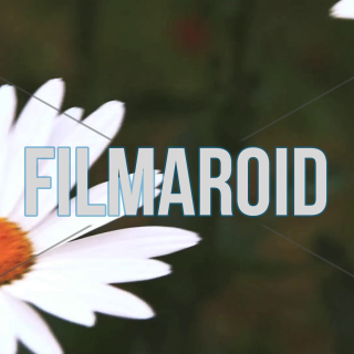 Daisies in the garden - A collection of stock footage about Nature