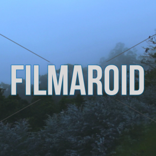 Dense fog across rainforest branches trees - A collection of stock footage about Nature