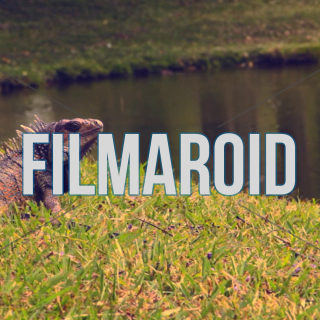 Adult iguana resting by lake shore on grass - Beautiful adult South American iguana resting by a lake shore and warming up on grass during one hot summer afternoon in an exotic landscape